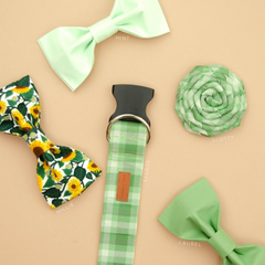 The Scotty Bowtie