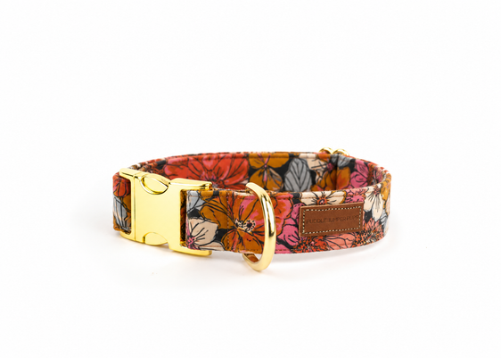 The Autumn Zinnia Flannel Collar