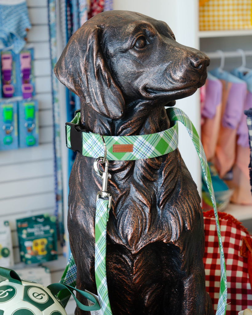 The Oliver Leash