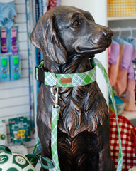 The Oliver Leash
