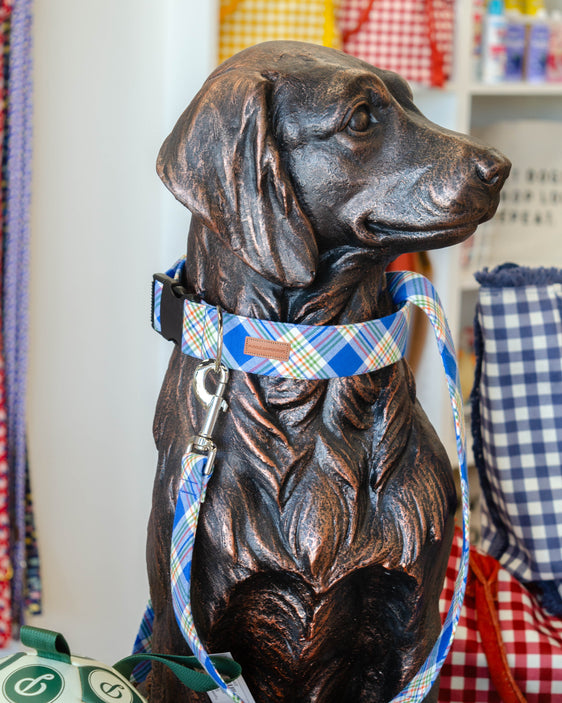 The Henry Leash