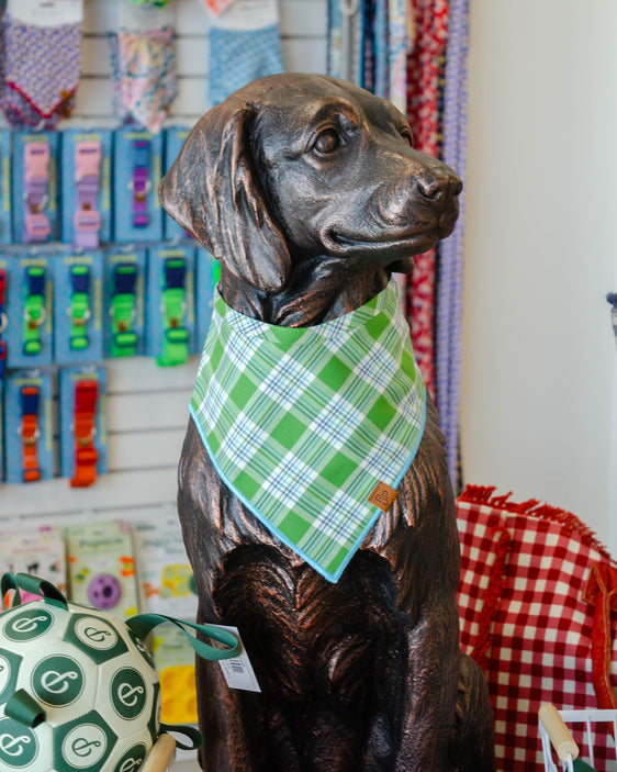 The Oliver Bandana