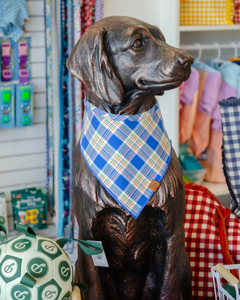 The Henry Bandana