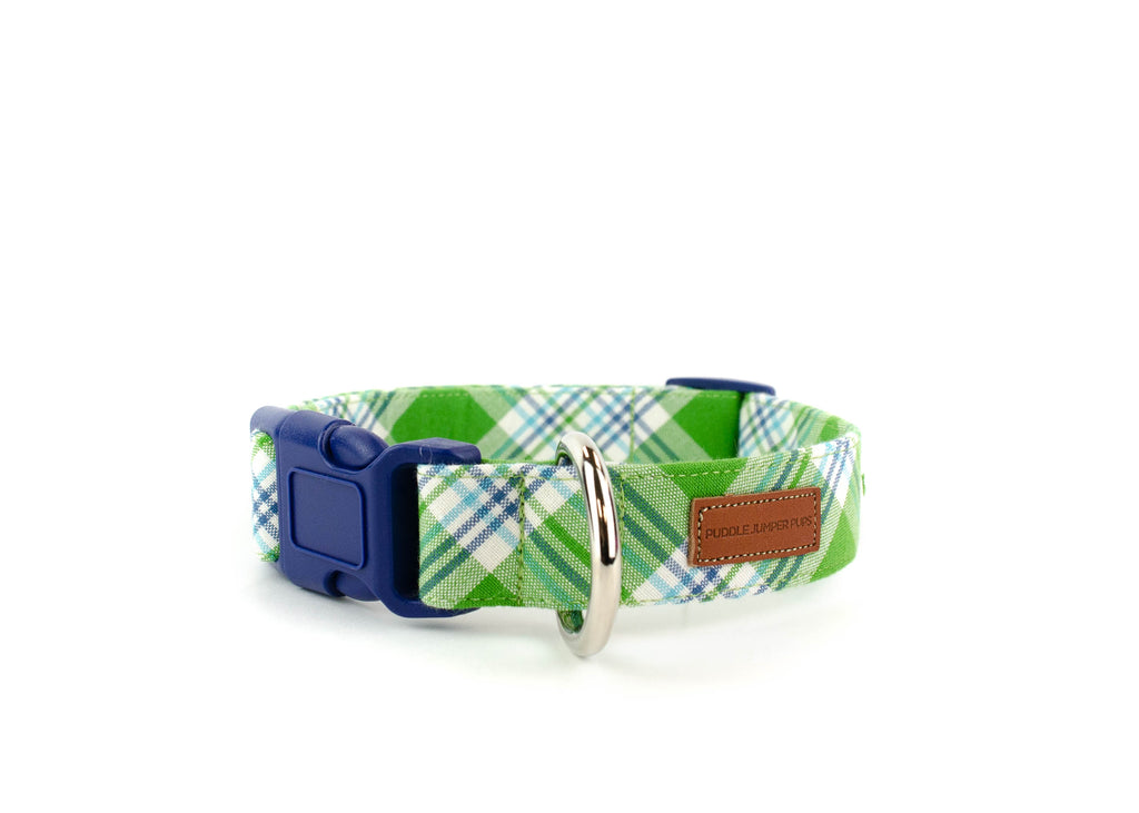 The Oliver Collar