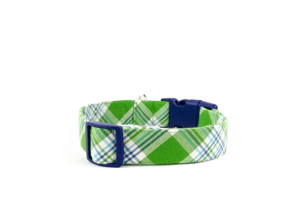 The Oliver Collar