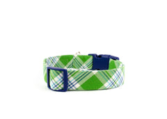 The Oliver Collar