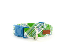 The Oliver Collar