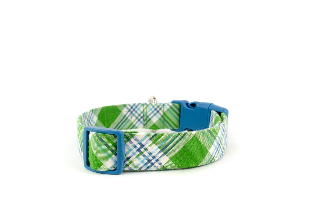 The Oliver Collar
