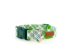 The Oliver Collar