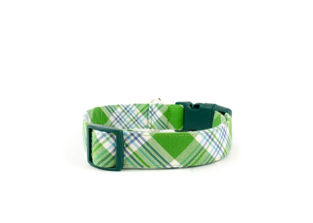 The Oliver Collar