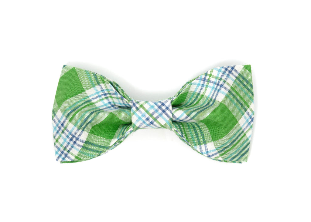 The Oliver Bowtie