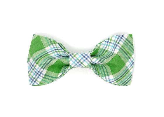 The Oliver Bowtie