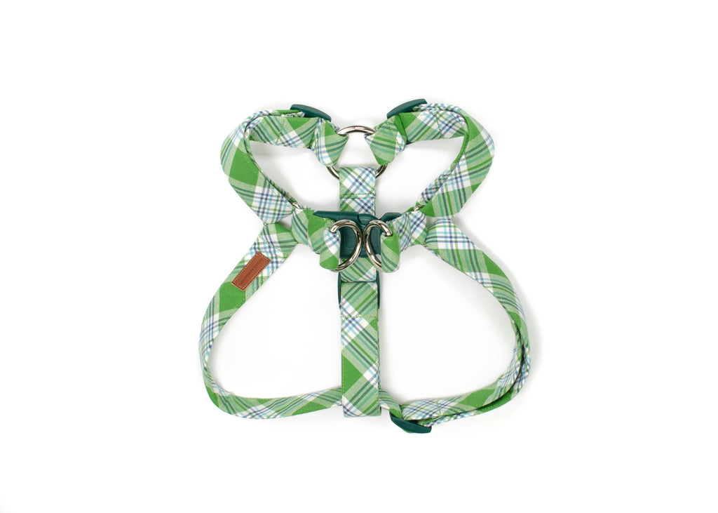 The Oliver Harness