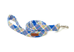 The Henry Leash