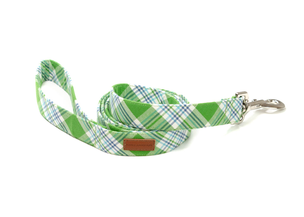 The Oliver Leash