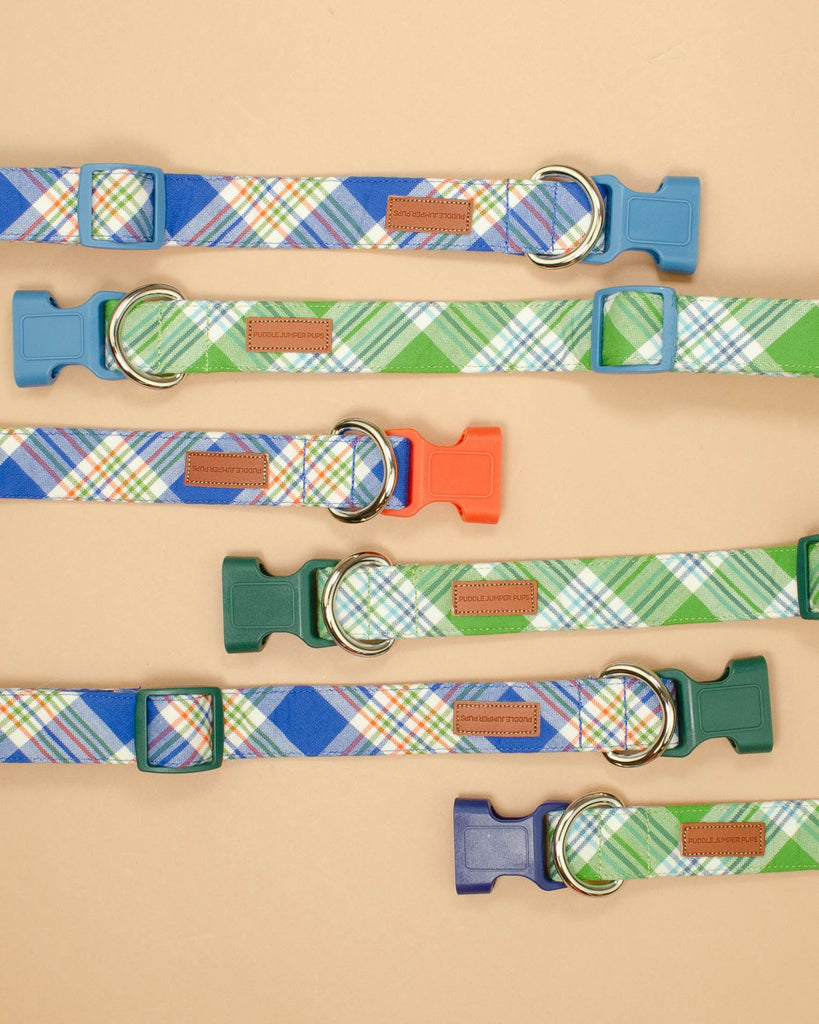 The Oliver Collar