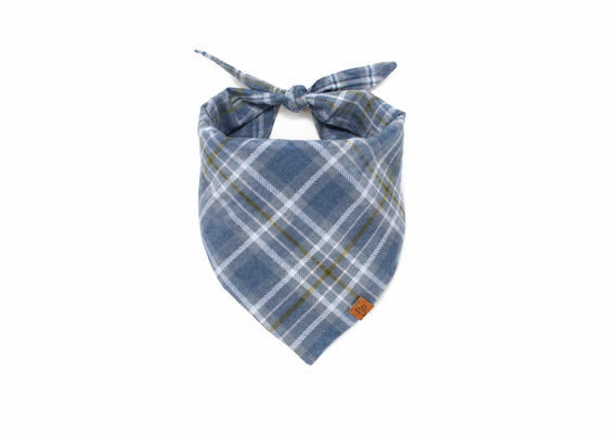 Big Bend Flannel Bandana