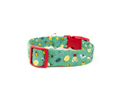 The Aiken Collar