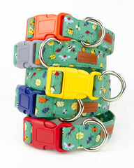The Aiken Collar