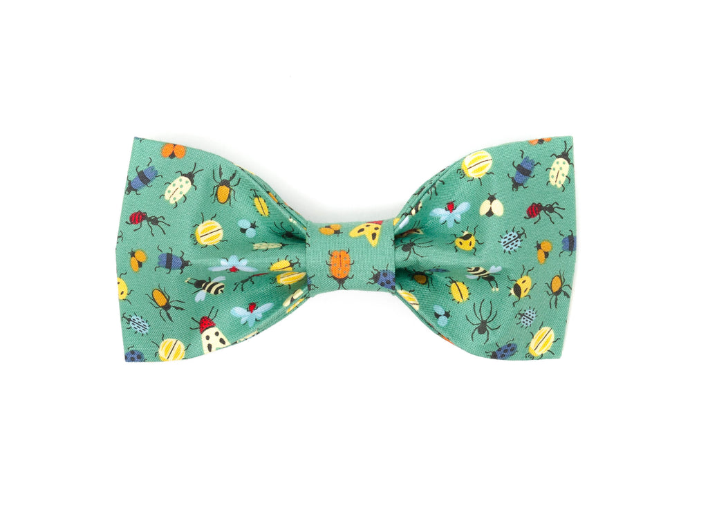 The Aiken Bowtie
