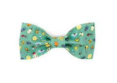 The Aiken Bowtie