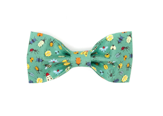 The Aiken Bowtie