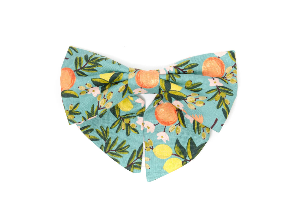 The Georgia Lady Bow