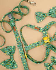 The Aiken Leash