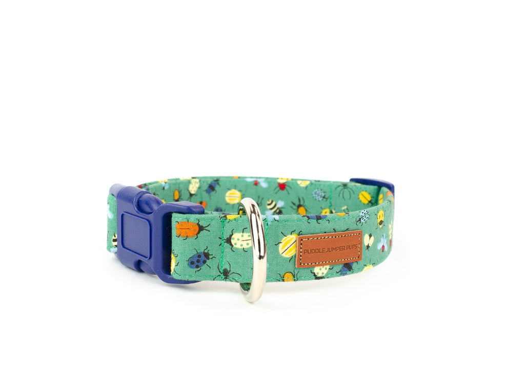 The Aiken Collar
