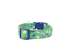 The Aiken Collar