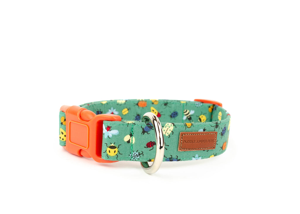 The Aiken Collar