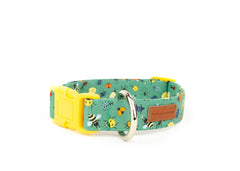 The Aiken Collar