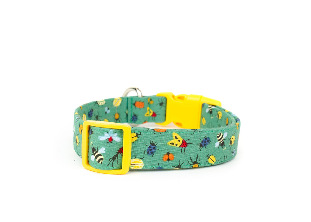 The Aiken Collar
