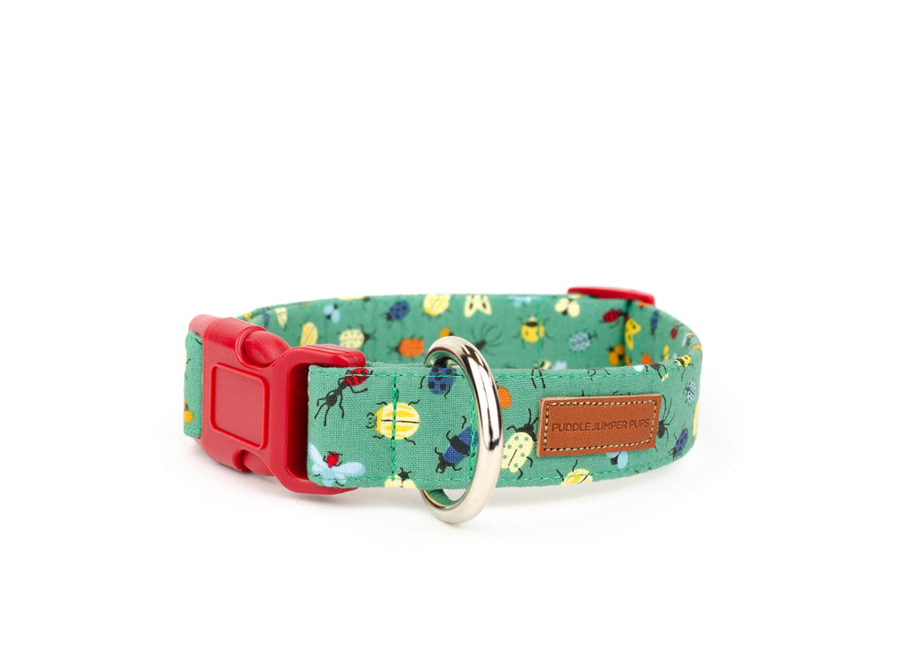 The Aiken Collar