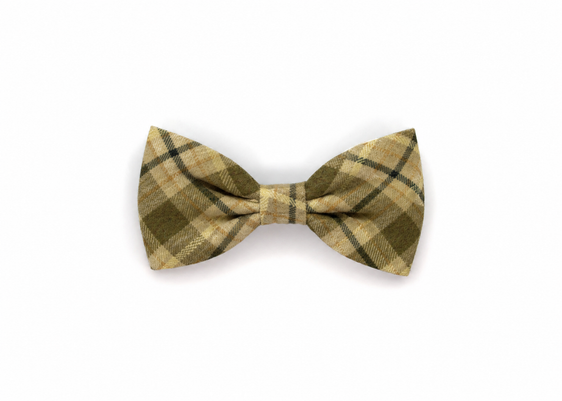 Joshua Tree Flannel Gentleman Bow