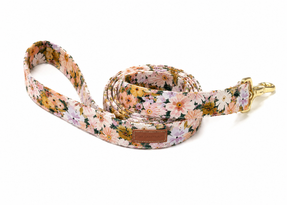 The Elaine Leash