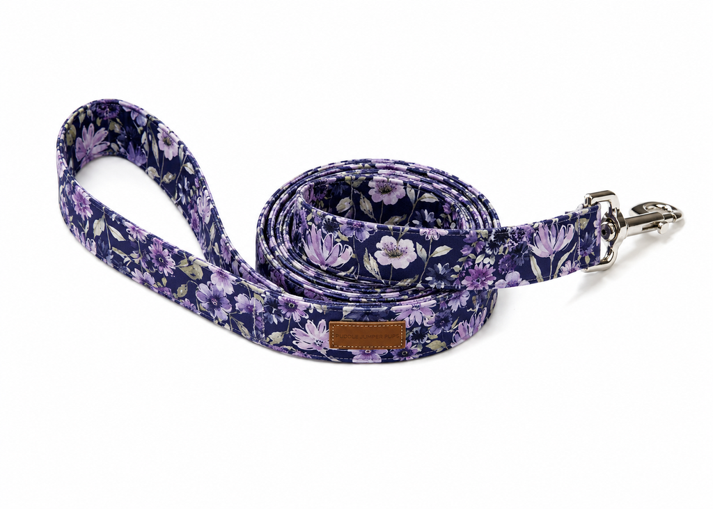 The Aelin Leash