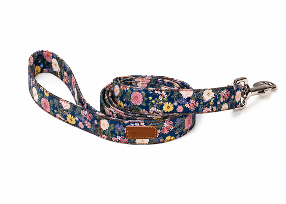 The Emerie Leash