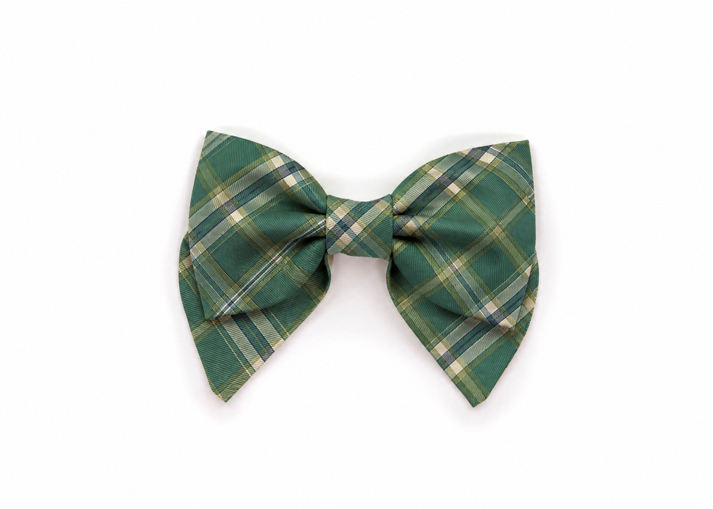 The Belmont Lady Bow