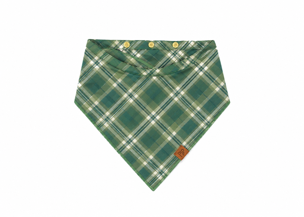 The Belmont Bandana