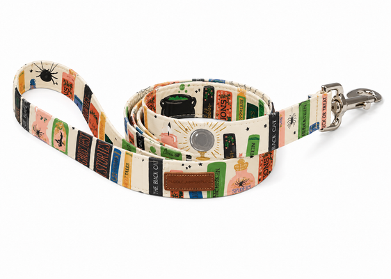 The Nesta Leash