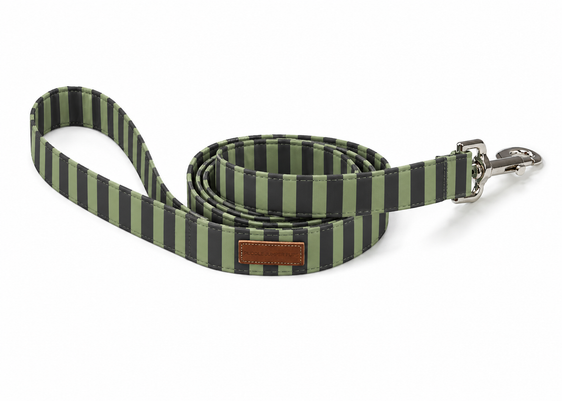 The Ridoc Leash