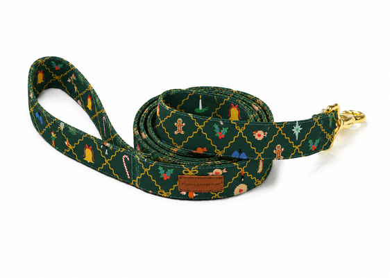 The Joy Leash