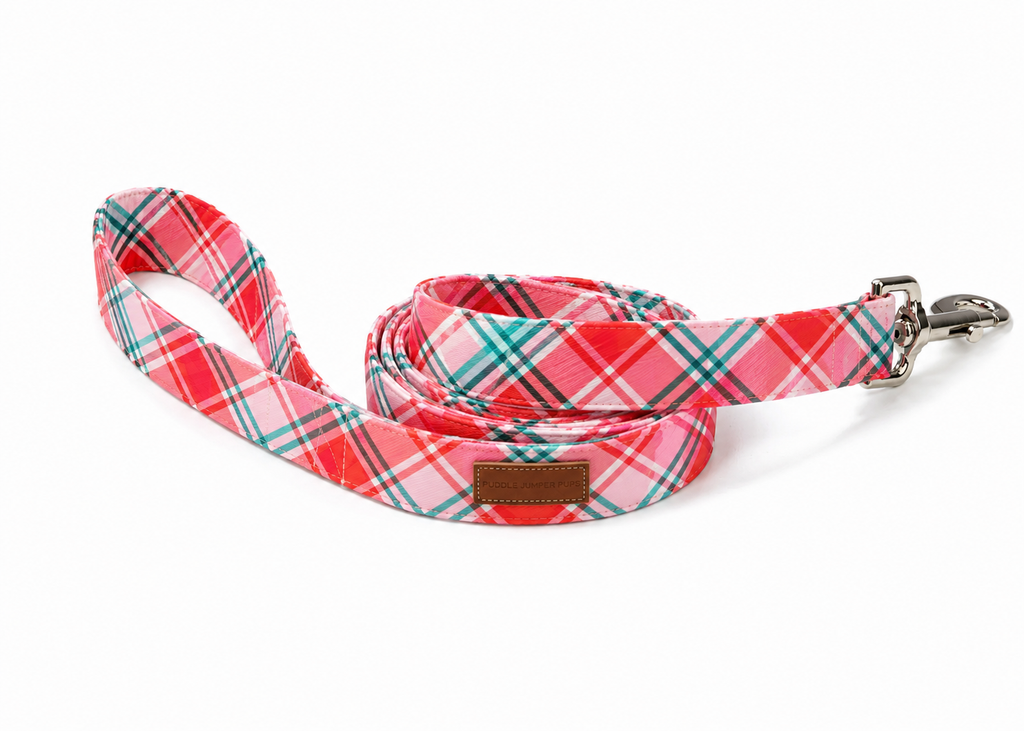 The Nova Leash