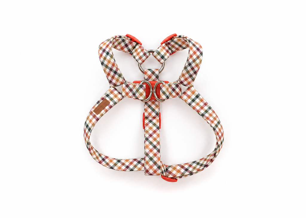 The Lennon Harness