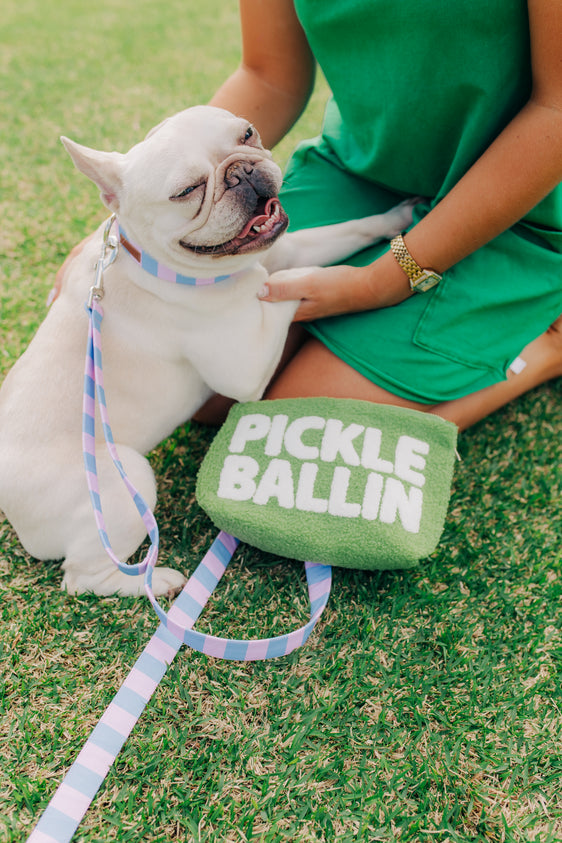 Pickleballin' Teddy Pouch