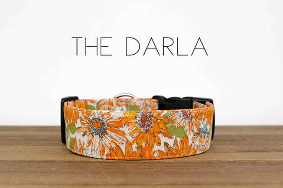 The Darla