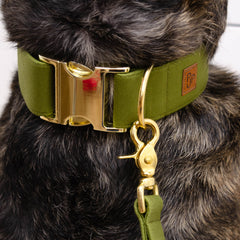 Signature Leash - Olive
