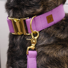 Signature Collar - Wisteria