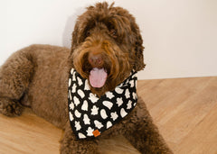 The Griffin Bandana